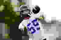 21bc5afc-010b-4767-b848-2bb9cb78186a