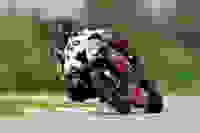 32021706-68cf-4a51-954e-381356ac981d