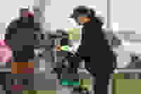 b378ed51-b617-4f95-87b1-a806bfcb1600
