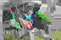 0e1fe854-bdff-463a-8612-45f45420e1de