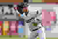 e50b2b38-c749-4f81-96f3-7761c6656d36