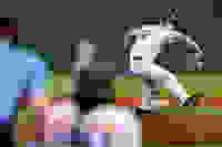 f4219739-e083-4f9f-82ca-e53ce4d81b0e