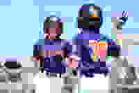 9ff0e238-c505-4eb5-86b0-153fb4c3235e