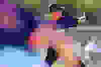 4b8df266-403c-4c74-a732-c9a70b20ad1a