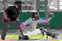d275d9f6-175d-4b9d-8ff1-b23b8c80def9
